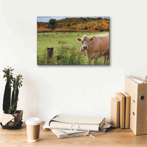 Image of 'Fall Cow' by Lori Deiter Canvas Wall Art,18 x 12