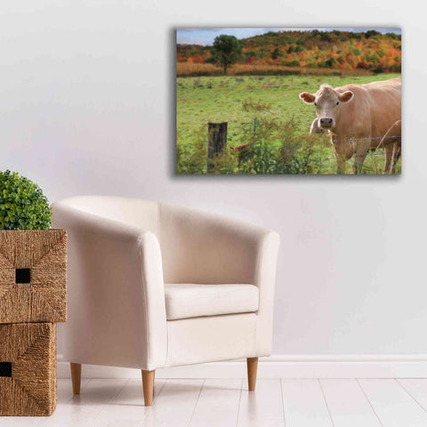 Image of 'Fall Cow' by Lori Deiter Canvas Wall Art,40 x 26