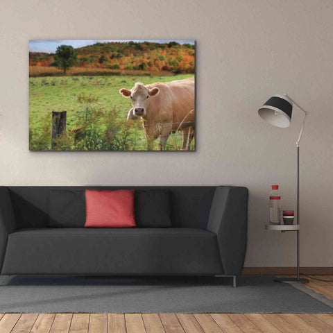 Image of 'Fall Cow' by Lori Deiter Canvas Wall Art,60 x 40