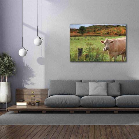 Image of 'Fall Cow' by Lori Deiter Canvas Wall Art,60 x 40