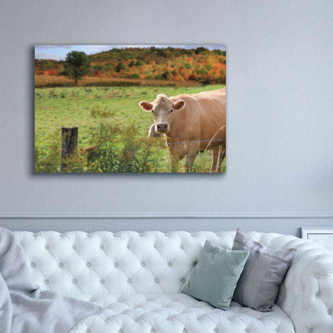 Image of 'Fall Cow' by Lori Deiter Canvas Wall Art,60 x 40