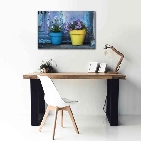 Image of 'She Shed Flowers' by Lori Deiter Canvas Wall Art,40 x 26