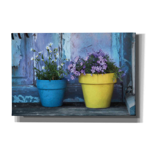 Image of 'She Shed Flowers' by Lori Deiter Canvas Wall Art