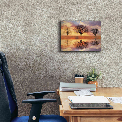 Image of 'Trio of Trees' by Lori Deiter Canvas Wall Art,16 x 12