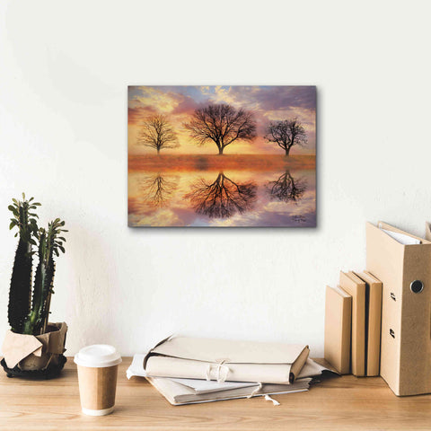 Image of 'Trio of Trees' by Lori Deiter Canvas Wall Art,16 x 12