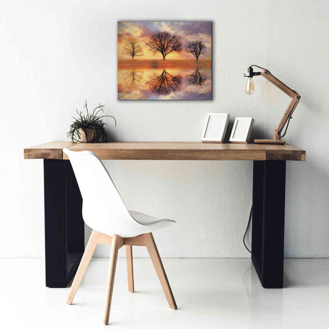 Image of 'Trio of Trees' by Lori Deiter Canvas Wall Art,24 x 20