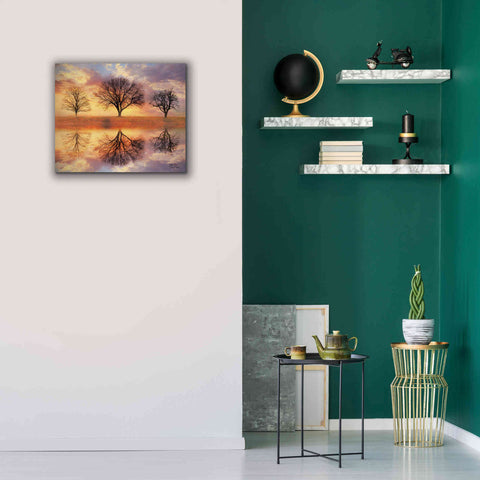 Image of 'Trio of Trees' by Lori Deiter Canvas Wall Art,24 x 20