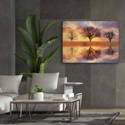 Image of 'Trio of Trees' by Lori Deiter Canvas Wall Art,54 x 40