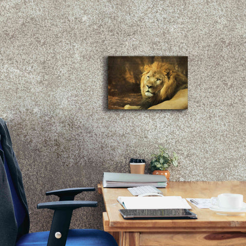 Image of 'Tribal Lion' by Lori Deiter Canvas Wall Art,18 x 12