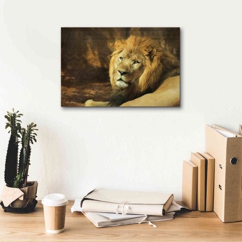 Image of 'Tribal Lion' by Lori Deiter Canvas Wall Art,18 x 12