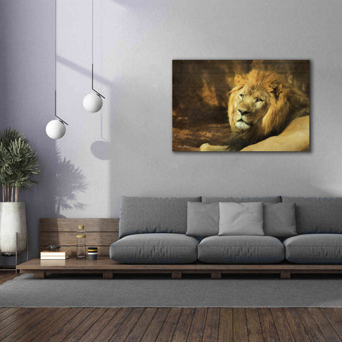 Image of 'Tribal Lion' by Lori Deiter Canvas Wall Art,60 x 40