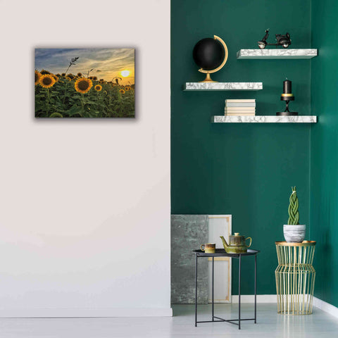 Image of 'Midwest Livin' I' by Donnie Quillen Canvas Wall Art,26 x 18