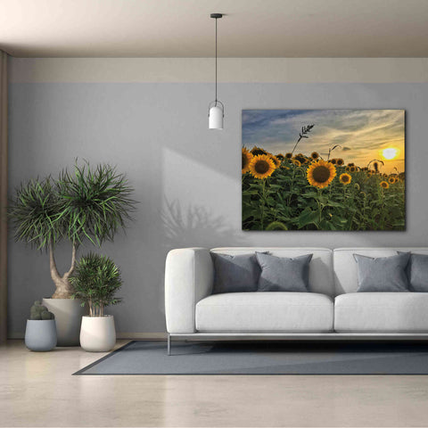 Image of 'Midwest Livin' I' by Donnie Quillen Canvas Wall Art,54 x 40