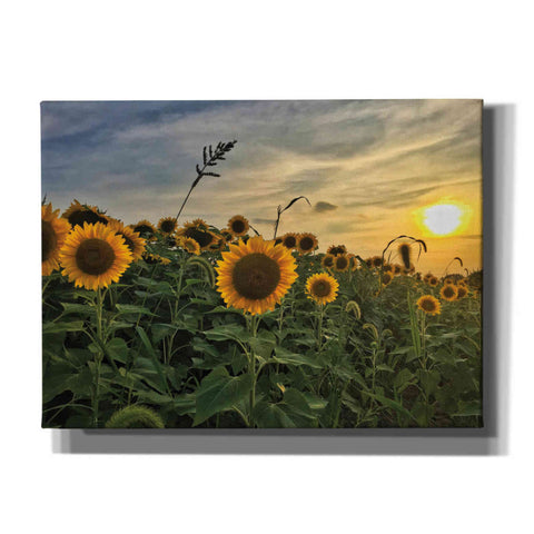 Image of 'Midwest Livin' I' by Donnie Quillen Canvas Wall Art