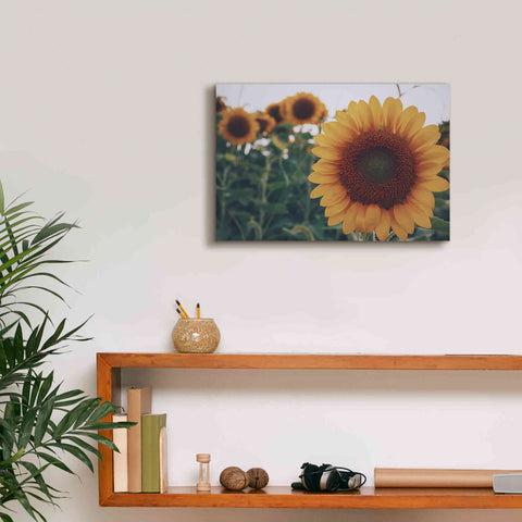 Image of 'Midwest Livin' II' by Donnie Quillen Canvas Wall Art,18 x 12