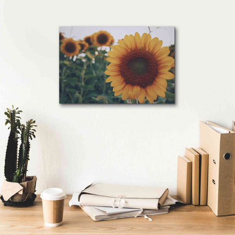 Image of 'Midwest Livin' II' by Donnie Quillen Canvas Wall Art,18 x 12