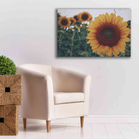 Image of 'Midwest Livin' II' by Donnie Quillen Canvas Wall Art,40 x 26