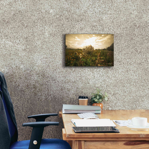 Image of 'Face the Sun II' by Donnie Quillen Canvas Wall Art,18 x 12