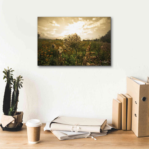 Image of 'Face the Sun II' by Donnie Quillen Canvas Wall Art,18 x 12