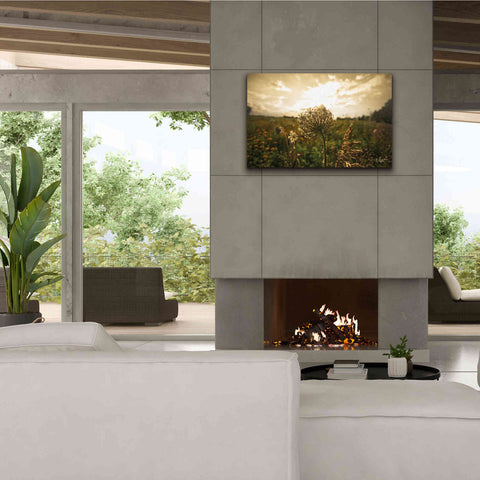 Image of 'Face the Sun II' by Donnie Quillen Canvas Wall Art,40 x 26
