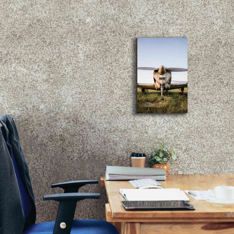 Image of 'Last Flight III' by Donnie Quillen Canvas Wall Art,12 x 18