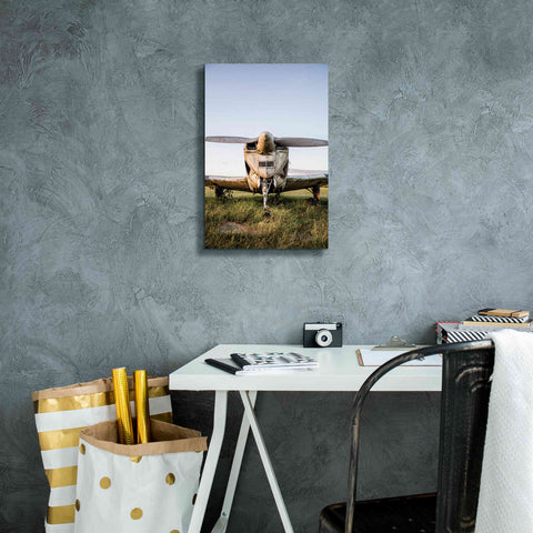 Image of 'Last Flight III' by Donnie Quillen Canvas Wall Art,12 x 18