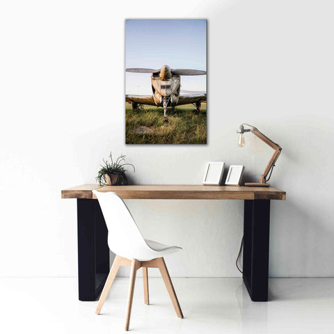Image of 'Last Flight III' by Donnie Quillen Canvas Wall Art,26 x 40
