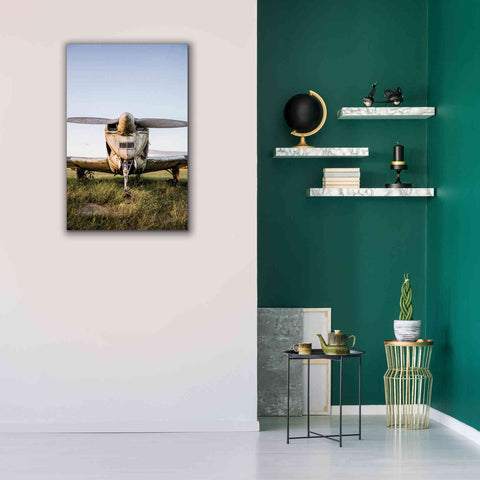 Image of 'Last Flight III' by Donnie Quillen Canvas Wall Art,26 x 40