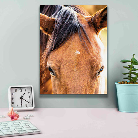 Image of 'Soft Brown' by Donnie Quillen Canvas Wall Art,12 x 16