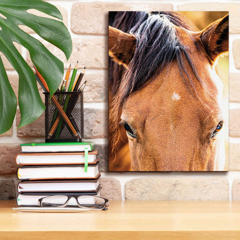Image of 'Soft Brown' by Donnie Quillen Canvas Wall Art,12 x 16