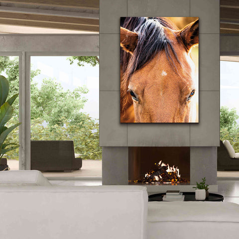 Image of 'Soft Brown' by Donnie Quillen Canvas Wall Art,40 x 54