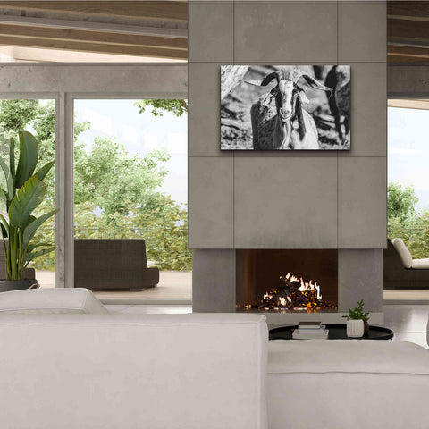 Image of 'Bearded Goat' by Donnie Quillen Canvas Wall Art,40 x 26