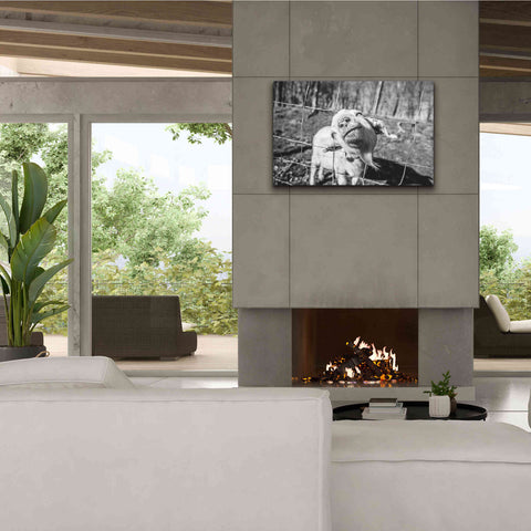 Image of 'Hey Goat' by Donnie Quillen Canvas Wall Art,40 x 26