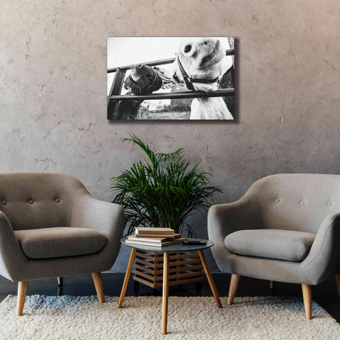 Image of 'Feeding Donkeys' by Donnie Quillen Canvas Wall Art,40 x 26