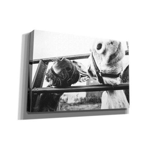 Image of 'Feeding Donkeys' by Donnie Quillen Canvas Wall Art
