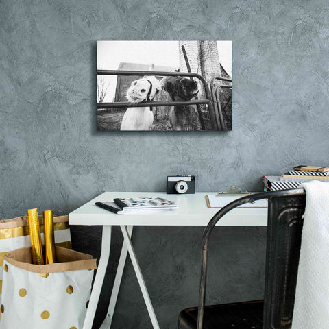 Image of 'Hey Donkeys I' by Donnie Quillen Canvas Wall Art,18 x 12