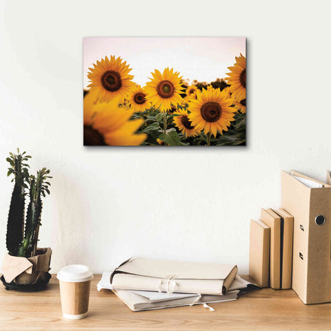 Image of 'Sunflower Field' by Donnie Quillen Canvas Wall Art,18 x 12
