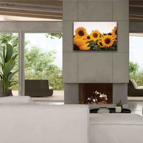Image of 'Sunflower Field' by Donnie Quillen Canvas Wall Art,40 x 26