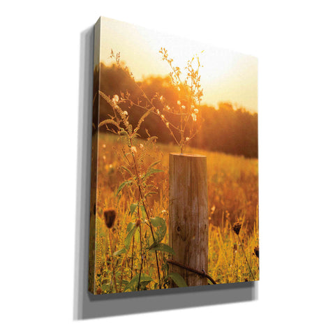 Image of 'Post' by Donnie Quillen Canvas Wall Art