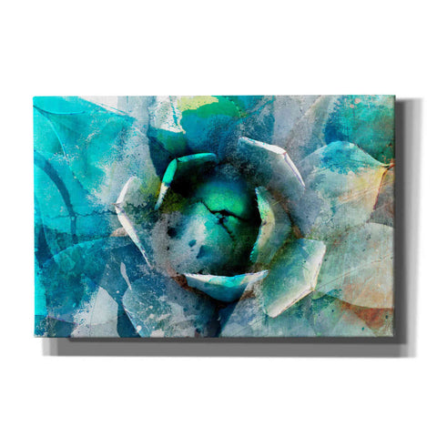 Image of 'Agave Abstract I' by Sisa Jasper Canvas Wall Art
