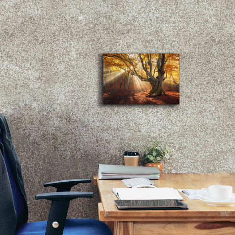 Image of 'Enchanted Forest' Canvas Wall Art,18 x 12