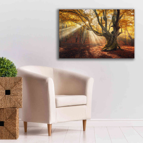 Image of 'Enchanted Forest' Canvas Wall Art,40 x 26