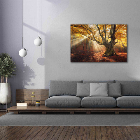 Image of 'Enchanted Forest' Canvas Wall Art,60 x 40