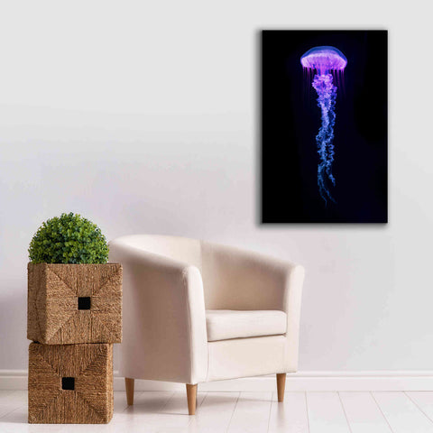 Image of 'Medusa' Canvas Wall Art,26 x 40