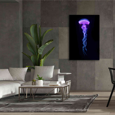 Image of 'Medusa' Canvas Wall Art,40 x 60