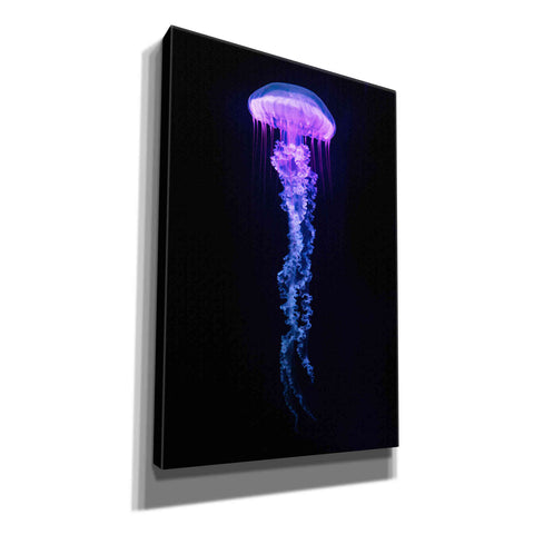Image of 'Medusa' Canvas Wall Art