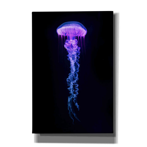 Image of 'Medusa' Canvas Wall Art
