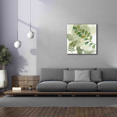 Image of 'Woodland Walk III' by Laura Horn, Canvas Wall Art,37 x 37
