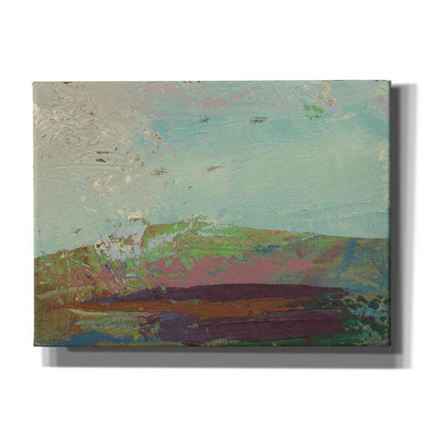 Image of 'Ceide Study XV' by Grainne Dowling, Canvas Wall Art