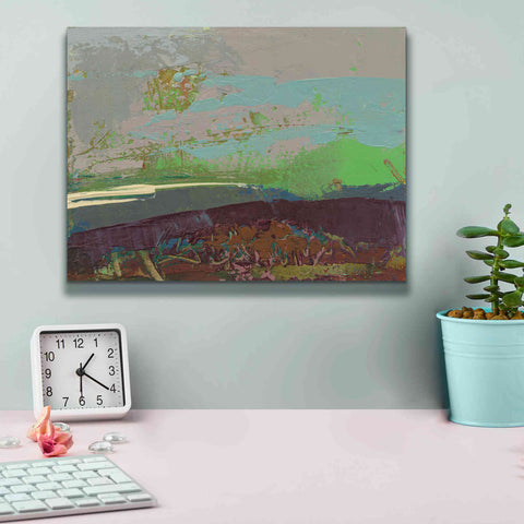 Image of 'Ceide Study XVI' by Grainne Dowling, Canvas Wall Art,16 x 12